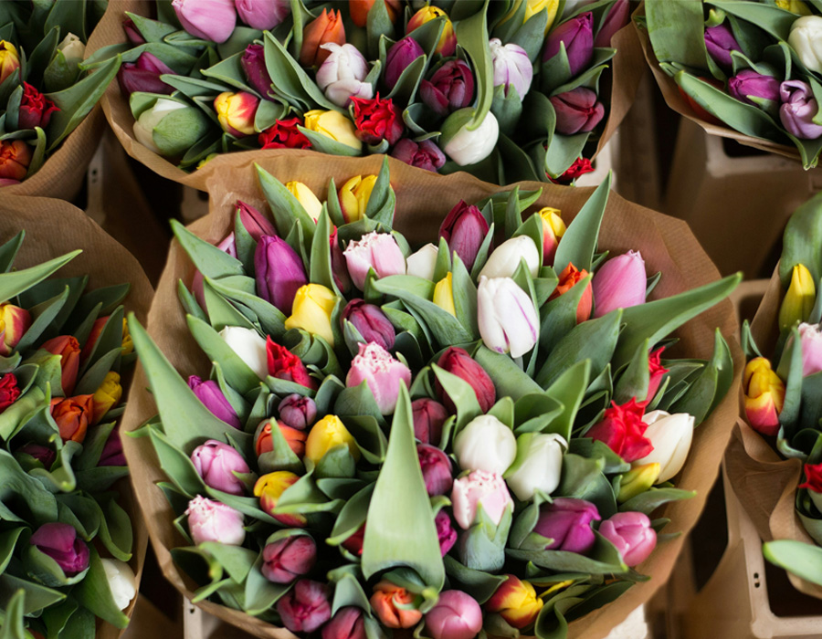 Blühende Veränderungen: Nachhaltige Verpackungsoptionen für Floristen